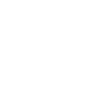 CAPI