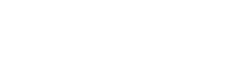 Media Expert