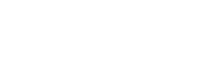 Expert