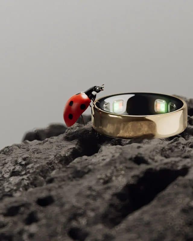 Der Oura Ring 5 in Gold auf dunklem Vulkangestein, daneben ein Marienkäfer